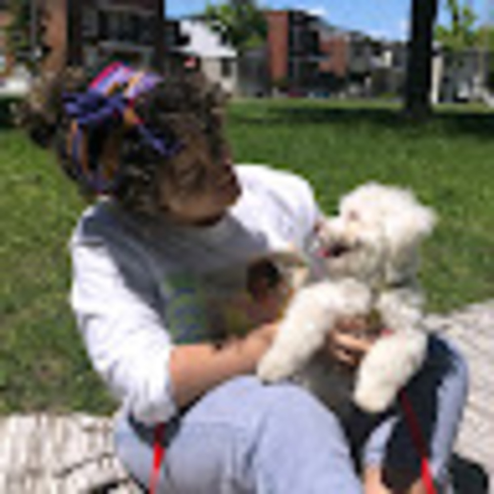 Meet your Posher, Safi